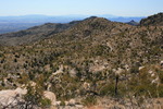 photo thumbnail #10