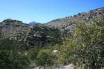 photo thumbnail #11
