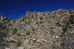 photo thumbnail #15