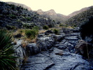photo thumbnail #9