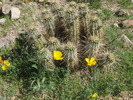 photo thumbnail #1