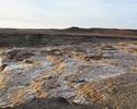 photo thumbnail #2