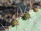 photo thumbnail #1