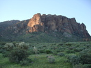 recent photo