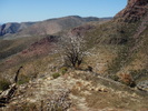 photo thumbnail #3