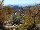photo thumbnail #9