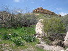 photo thumbnail #7