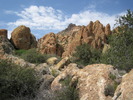 photo thumbnail #10