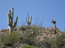 photo thumbnail #13