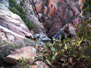 photo thumbnail #4