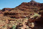 photo thumbnail #14