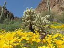 photo thumbnail #5
