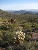 photo thumbnail #3
