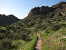 photo thumbnail #4