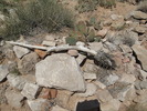 photo thumbnail #10