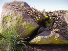 photo thumbnail #3