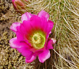 photo thumbnail #9