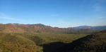 photo thumbnail #8