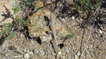 photo thumbnail #10