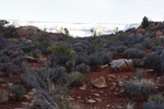 photo thumbnail #13