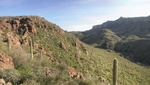 photo thumbnail #3