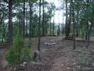 photo thumbnail #9