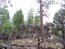 photo thumbnail #11