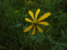 photo thumbnail #15