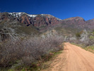 photo thumbnail #1