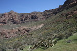 photo thumbnail #5