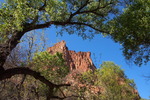 photo thumbnail #13