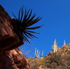 photo thumbnail #15