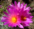 photo thumbnail #10