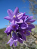 photo thumbnail #15