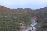 photo thumbnail #5