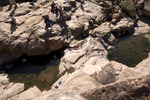 photo thumbnail #14