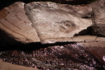 photo thumbnail #15