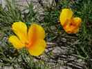 photo thumbnail #15