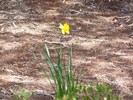 photo thumbnail #7