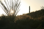 photo thumbnail #2