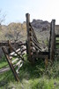 photo thumbnail #4