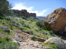 photo thumbnail #7