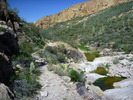 photo thumbnail #14