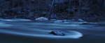 photo thumbnail #14