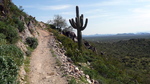 photo thumbnail #12