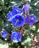 photo thumbnail #15