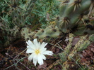 photo thumbnail #8