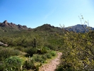 photo thumbnail #6
