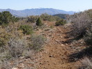 photo thumbnail #14