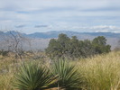 photo thumbnail #1